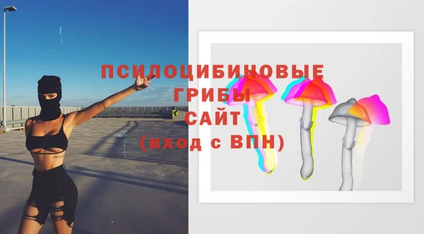не бодяженный Иннополис