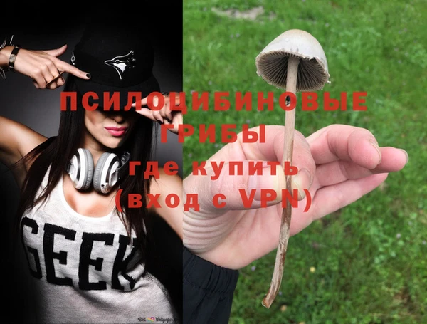 МДМА Инсар